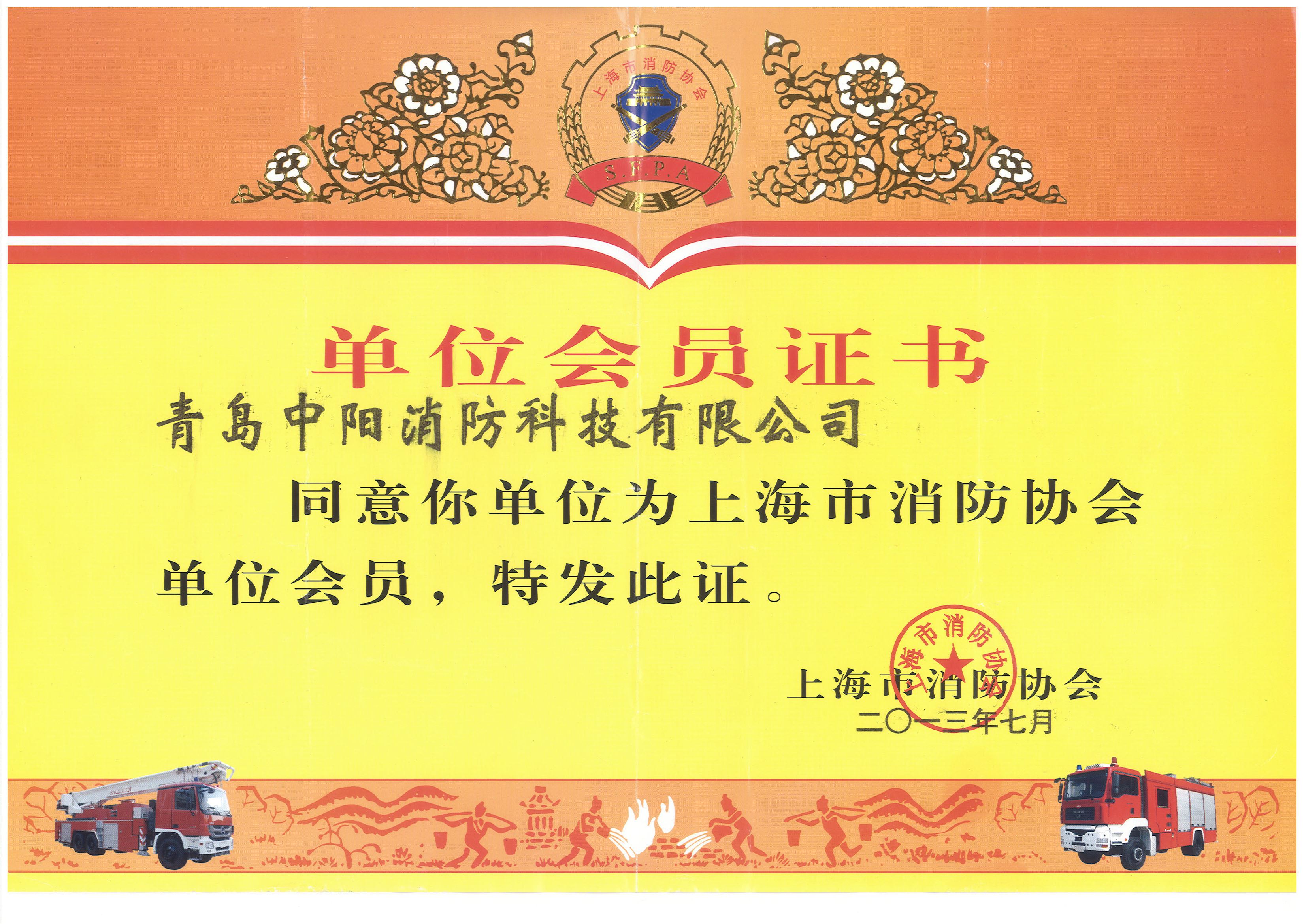 上海消防协会单位会员证书